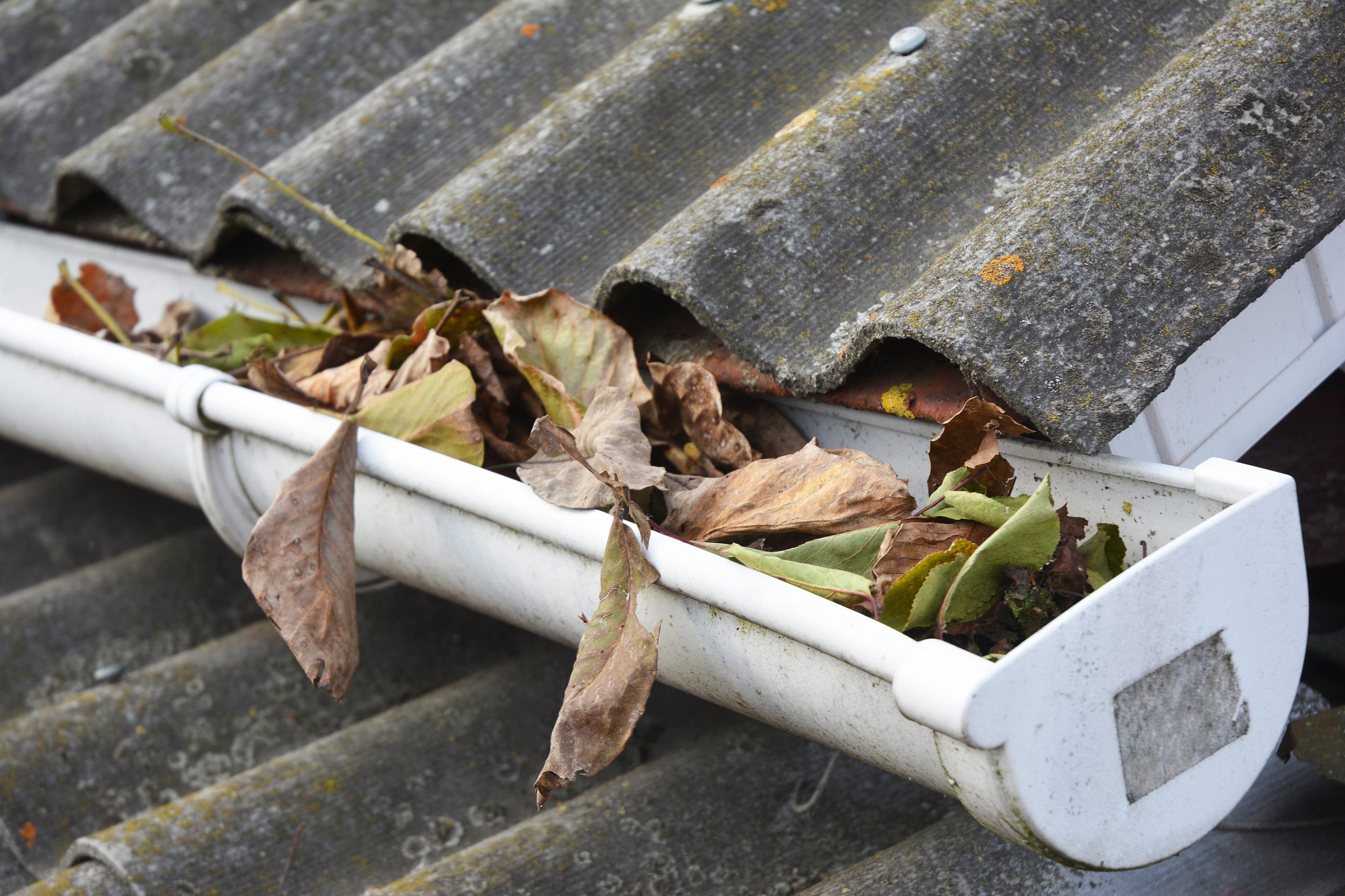 Read more about the article Spring Cleaning Tips For Your Roof