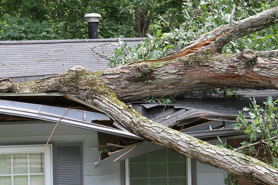 Read more about the article Storm Damage: What To Do