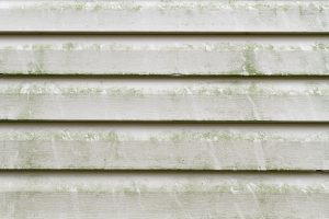Read more about the article Know When You Need Siding Repair​