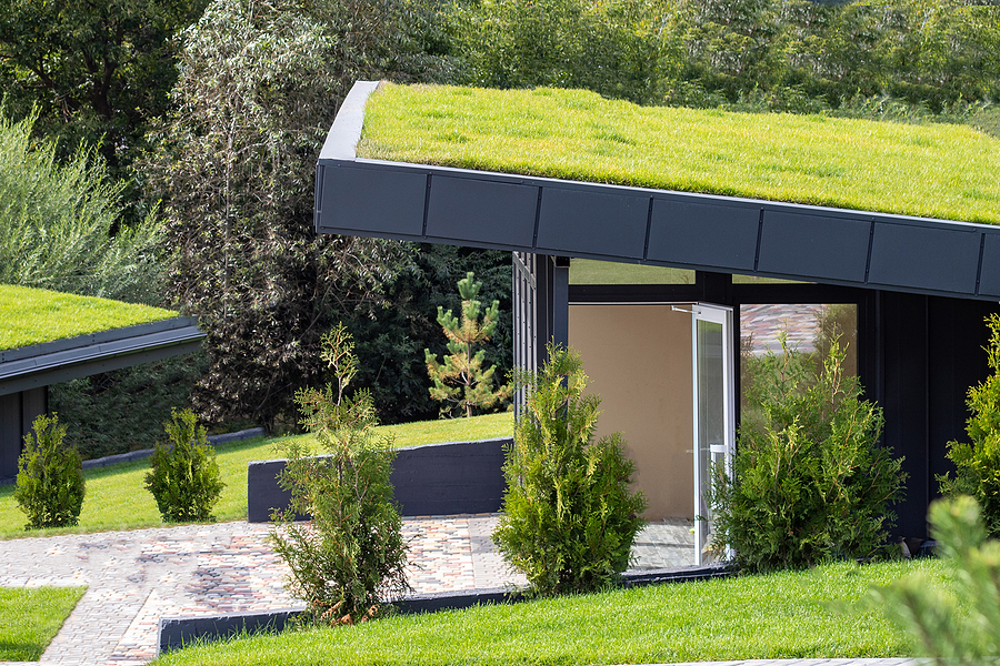 Read more about the article What Is Green Roofing?