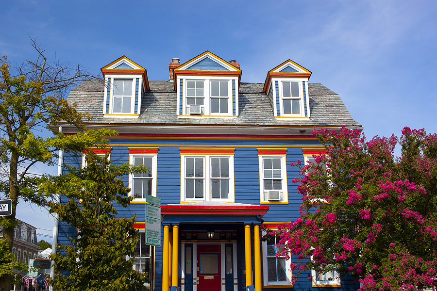 Read more about the article Painting Vinyl Siding