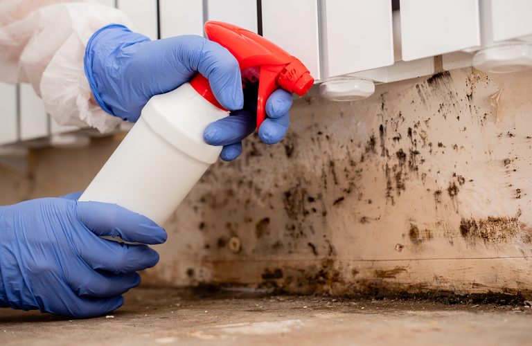 all about mold