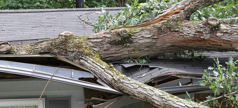 Storm Damage